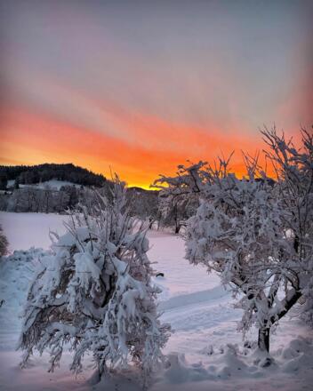 Morgenrot
