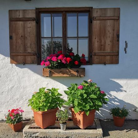 Hochdürrnberg Sommer