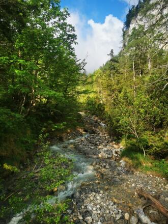 wir überqueren den Bach