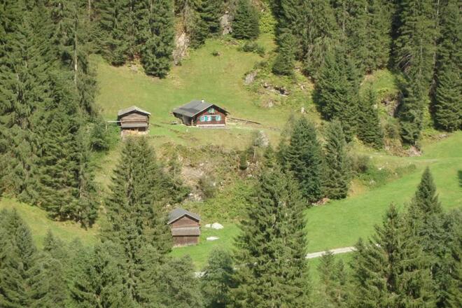 2017_8261573_tz privat