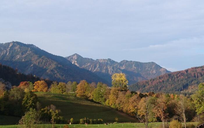 der Ausblick im Herbst