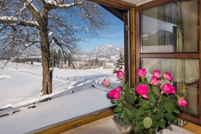 Ausblick vom Wohnzimmer