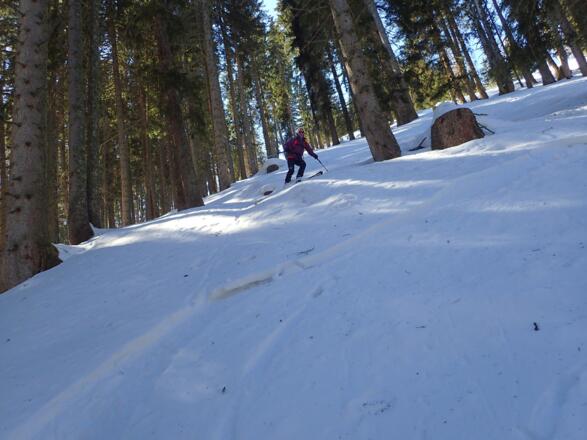 Im Hochwald