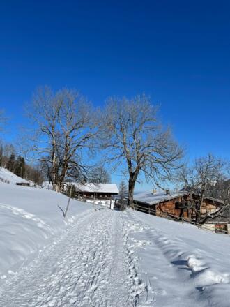 Winterlicher Ausblick auf der hohen Asten