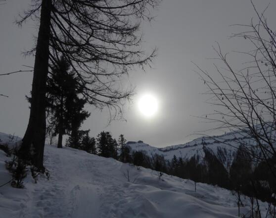 Mit Blick auf den Schmittenstein quert die Spur auf die Abfahrtstrasse hinüber.
