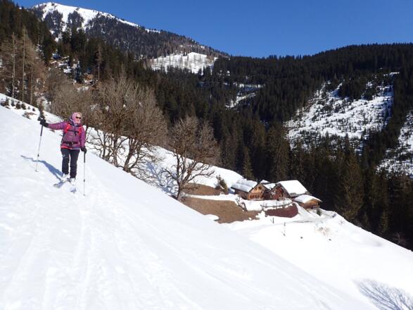 Sittleralm