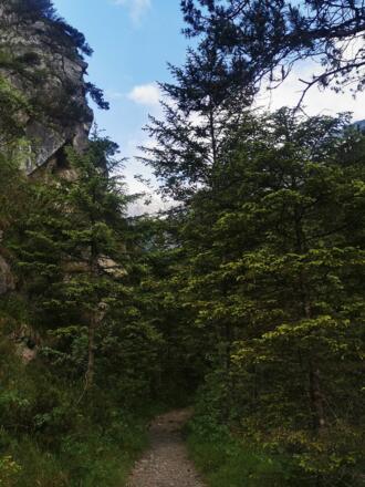 Los geht es hinein in das Halltal