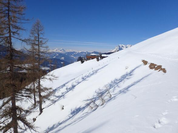 Unterhalb der Schwarzeneggalm