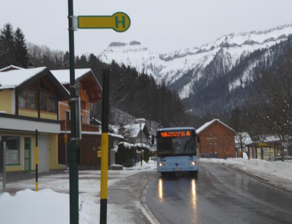 Jetzt wird`s aber richtig ungemütlich. Noch schnell ein Foto und rein in den beheizten Bus.