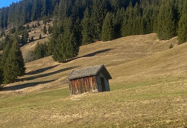 Umgebung