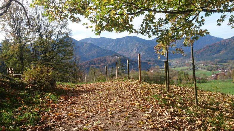 wunderschöne herbstliche Wanderwege