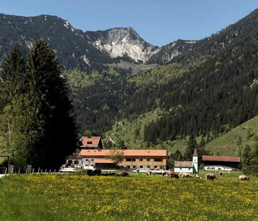 Schmiedhof mit Aiplspitz