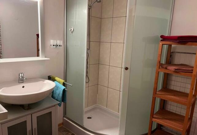 Badezimmer mit Dusche Alpenrose
