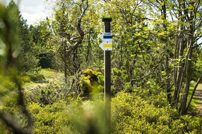 Kammweg Markierungszeichen beim Kahleberg