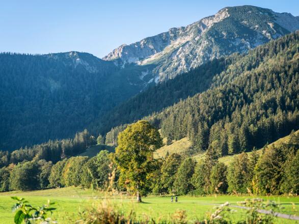 Alpine Kulisse im Oberland