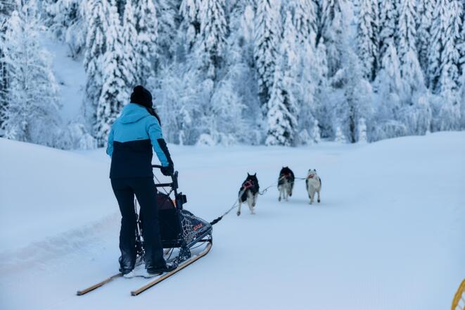 Huskycamp im Kleinwalsertal Winter