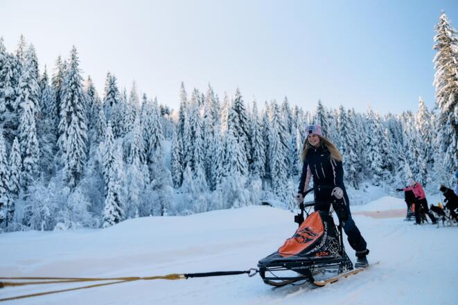 Huskycamp Kleinwalsertal im Winter