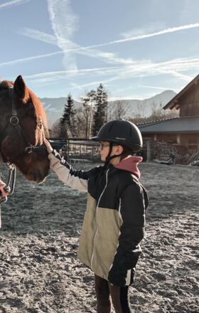 Pony Streicheleinheiten