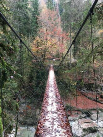 Subersachschlucht Drahtsteg