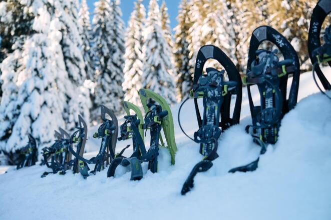 Huskycamp Hirschegg Kleinwalsertal Winter