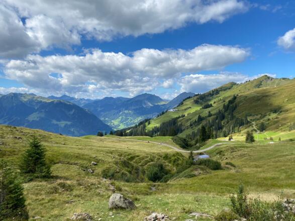 Ausblick ins Tal