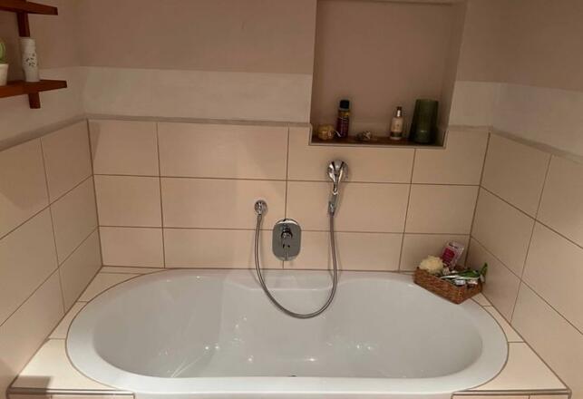 Badezimmer - Dusche und Badewanne Edelweiss
