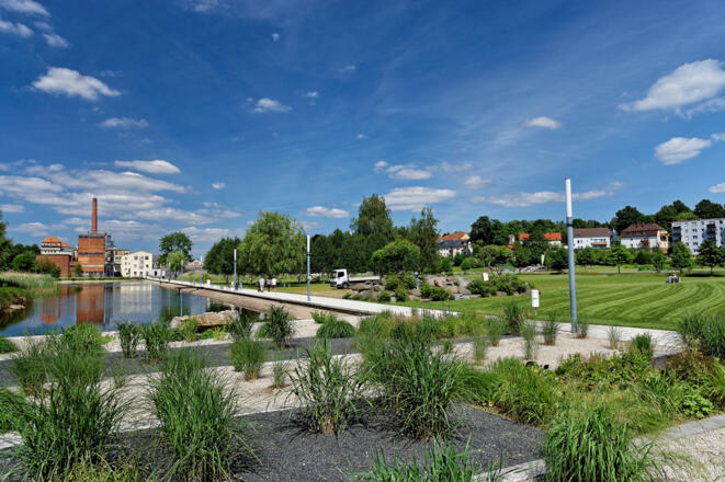 Auenpark im Sommer