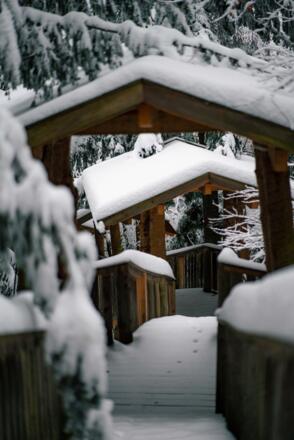 BaumkronenwegKopfing82©TourismusverbandDonauOberoesterreichCMVisuals.jpg