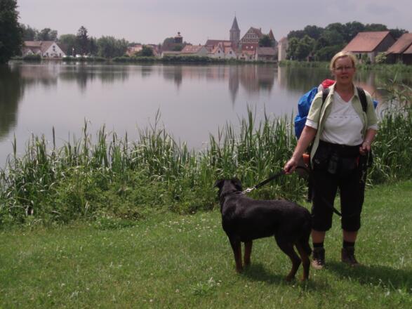 Leutershausen, Stadtansicht  mit St. Peter