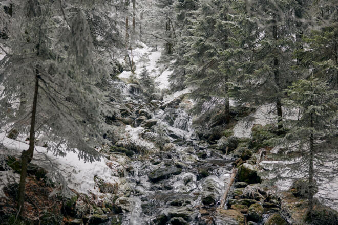 Winterwandern / Vierjahreszeitenweg