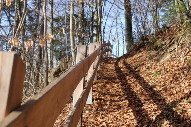 Vogellehrpfad Bad Vigaun_Auf- bzw. Abgang