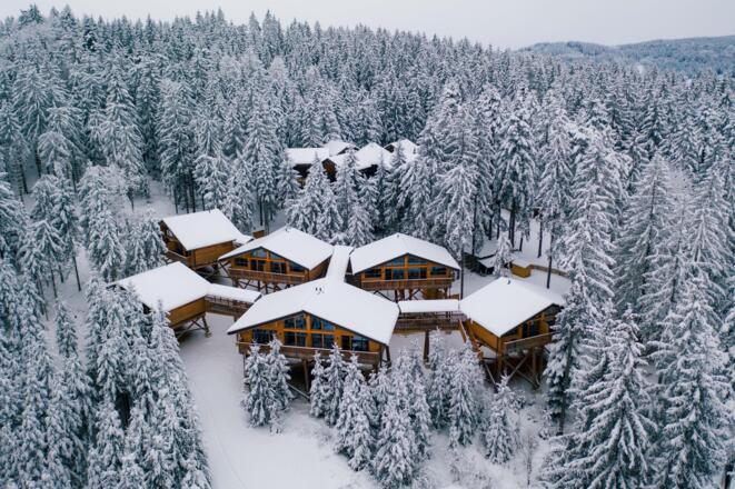 BaumkronenwegKopfing110©TourismusverbandDonauOberoesterreichCMVisuals.jpg