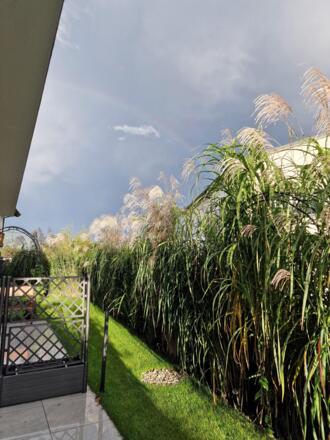 Gartenblick
