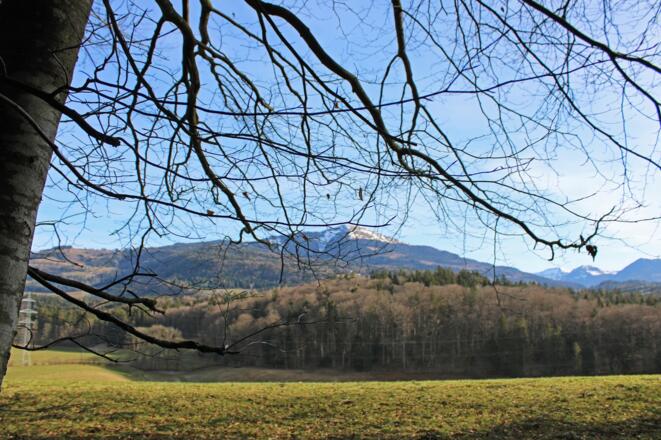 Vogellehrpfad Bad Vigaun_Aussicht auf Schlenken