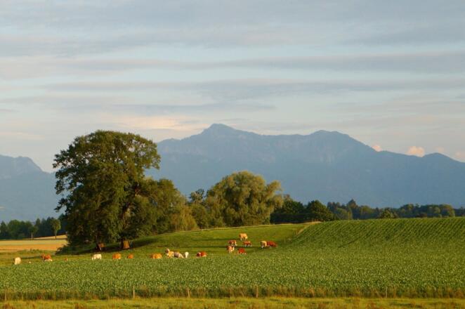 Idyllische Landschaft mit Bergpanorama
