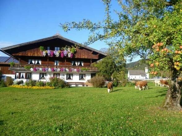 Das Bauernhaus