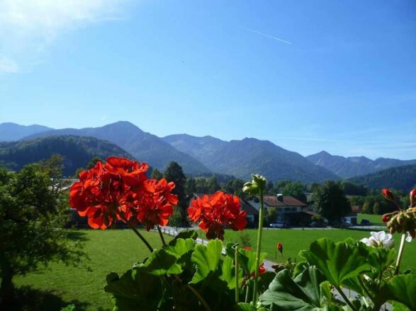 Der Ausblick
