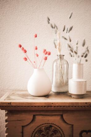 (c) Hannes Niederkofler_WEB-4019