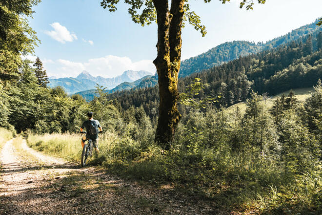 Blick ins Gesäuse