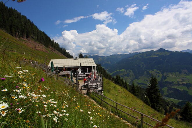Viehhausalm