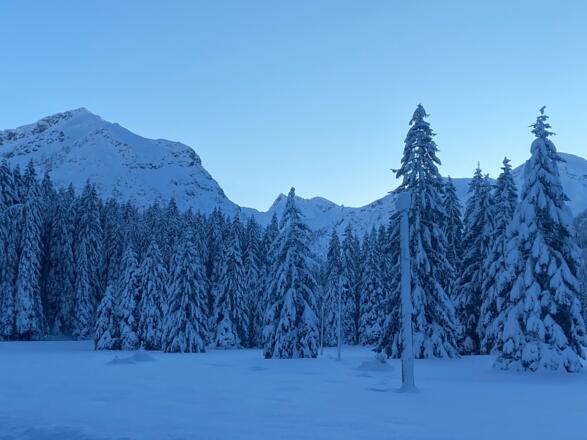 Winterlandschaft in Tannheim