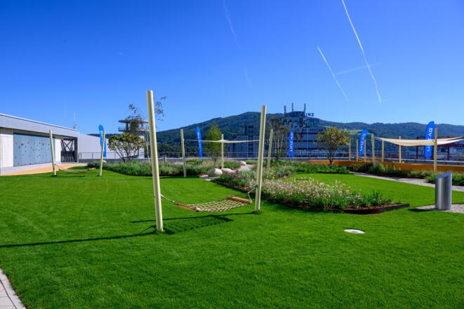 hafenpark_(c)_linzag-fotokerschi