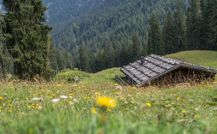 Die Dalsenalm im Lattengebirge