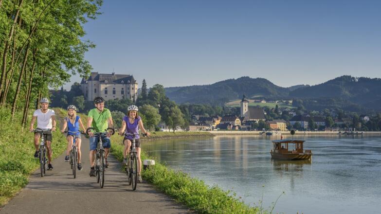 Donauradweg bei Grein