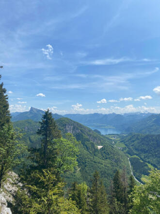 Ausblick zum Wolfgangsee und Schafberg