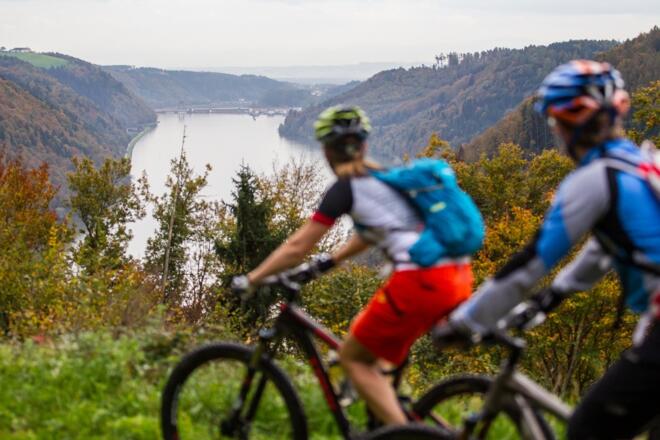 Blick auf die Donau in St. Martin im Mühlkreis