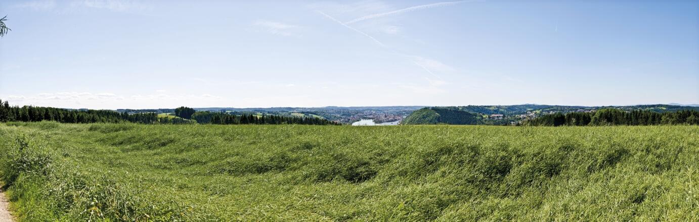 Freinberg