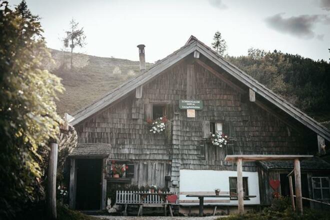 Langfeldhütte - urig