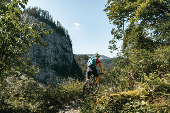Abwechslung am Singletrail