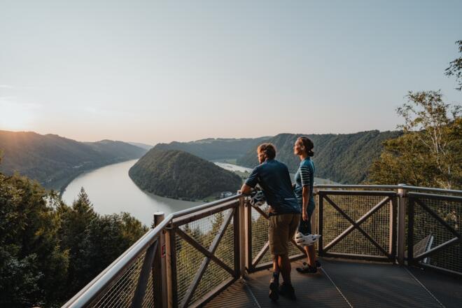 Radfahrer an der Schlögener Schlinge Haibach